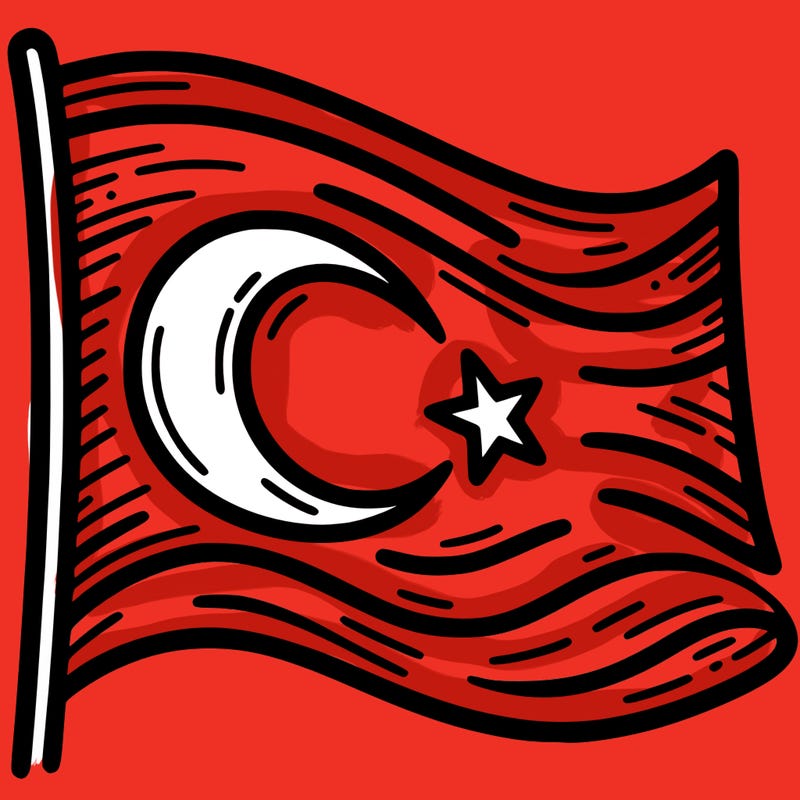 turkish bayraiği
