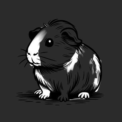 guinea pig