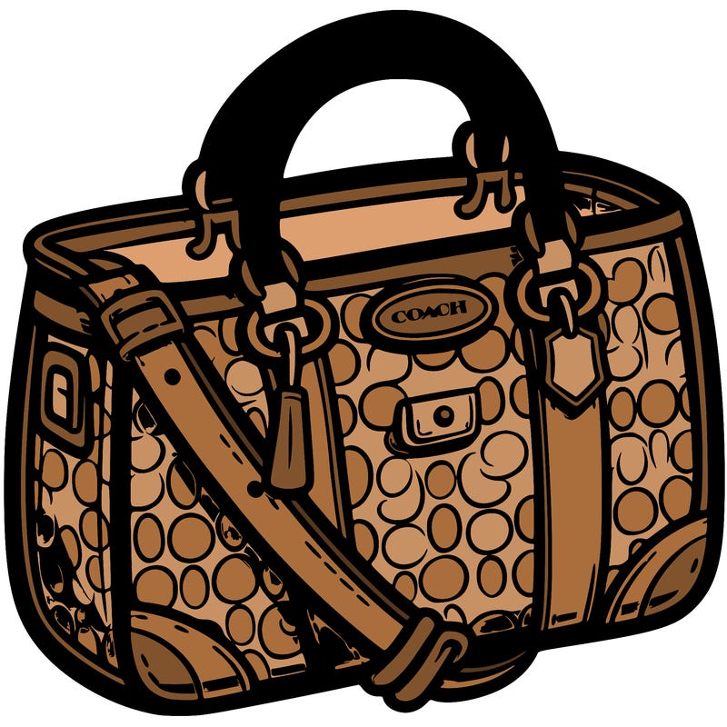coach bag