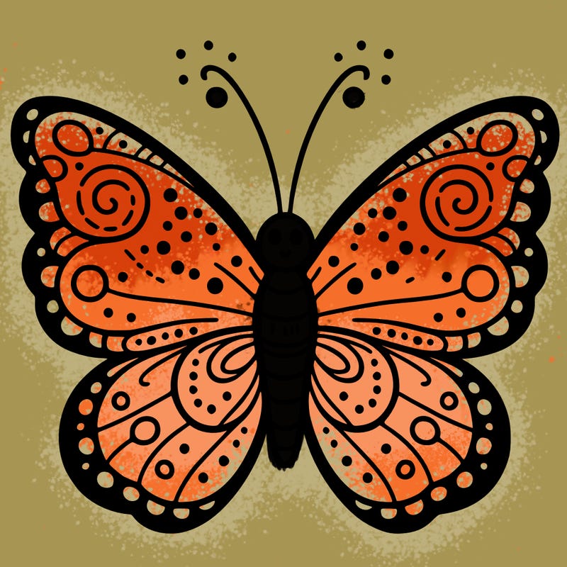 butterfly