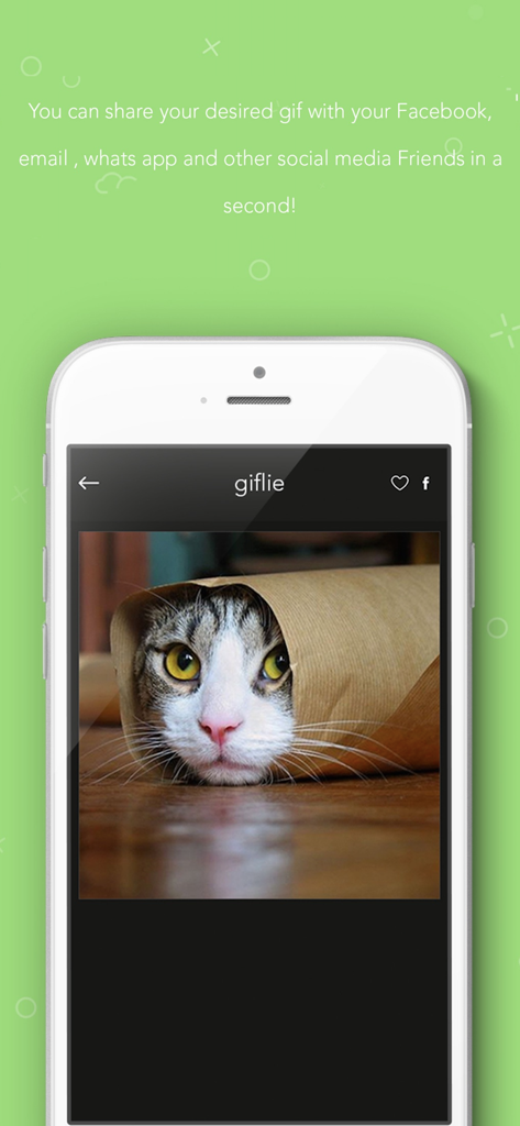 For Whatsapp - Funny gif gifs - Screenshot of the giflie app displaying a funny cat GIF with options to share on social media
