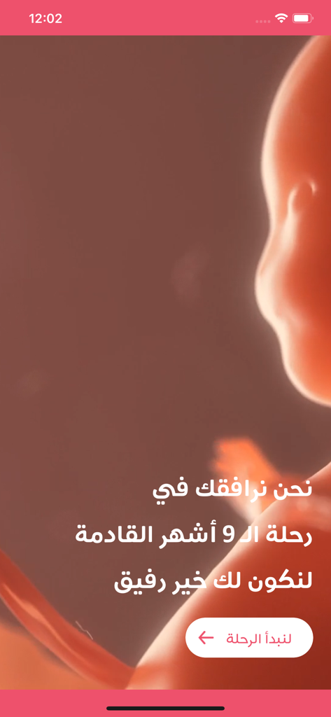 Arabic pregnancy calculator app welcome screen with fetus illustration and start journey button