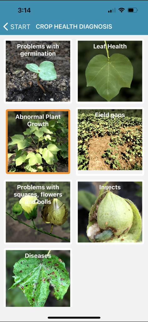 ICAC Cotton Expert - ICAC Cotton Expert app interface for crop health diagnosis featuring categories like insects, diseases, and leaf health.