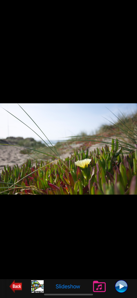 My-Photos - Interface of the My-Photos app showing a beach landscape photo in slideshow mode.