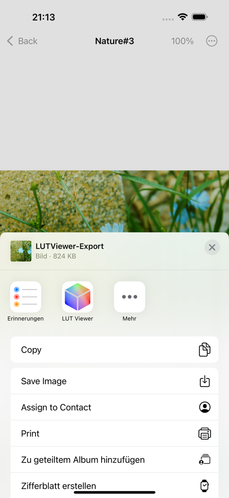 Una captura de pantalla que muestra la hoja de compartir de exportación en LUT Viewer para iOS después de editar una foto de plantas.