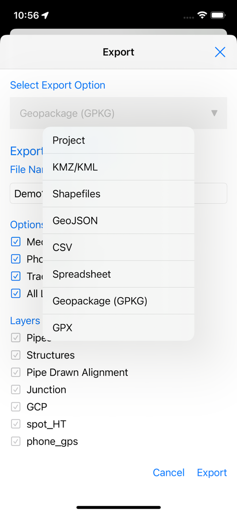 SW Maps - SW Maps export screen displaying a list of professional GIS file formats and layer selection options