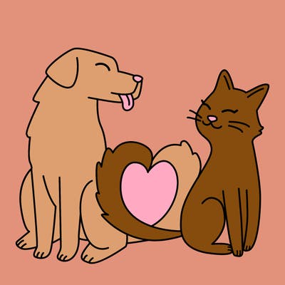 animals_22