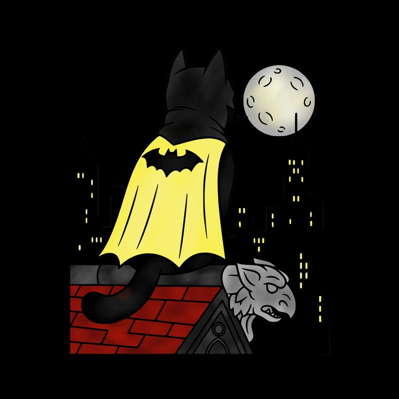 batman cat