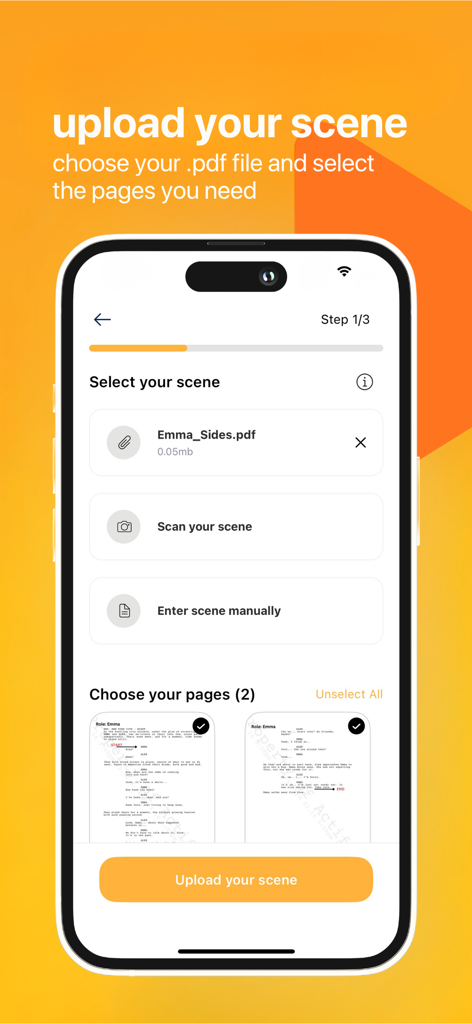 Smartphone screen showing Rafy app script upload and page selection