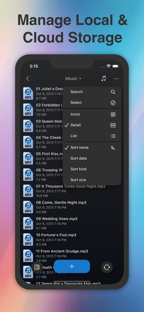 Phone Drive Pro: File Sync - Phone Drive Pro app screenshot displaying music files and file sorting menu options.
