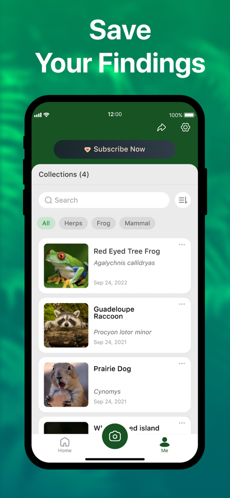 Picture Nature: Animal ID - A collection of identified wildlife findings including a tree frog and raccoon in the Picture Nature app