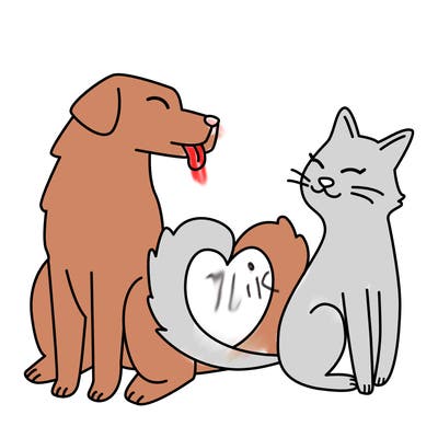 animals_22