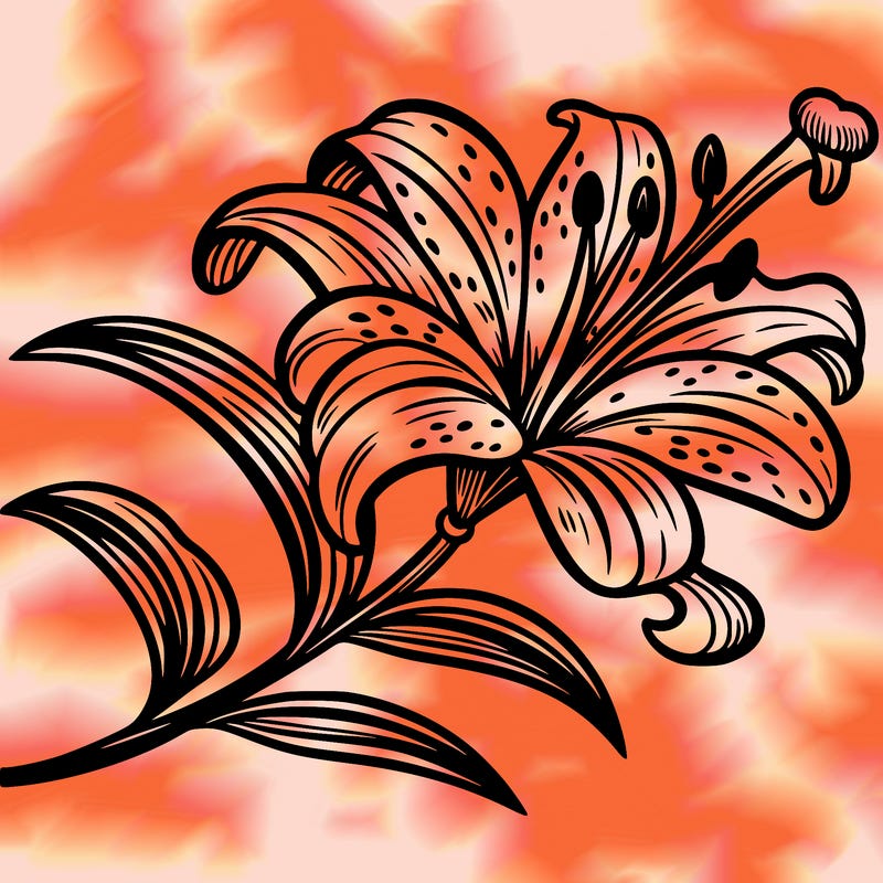 tiger lily