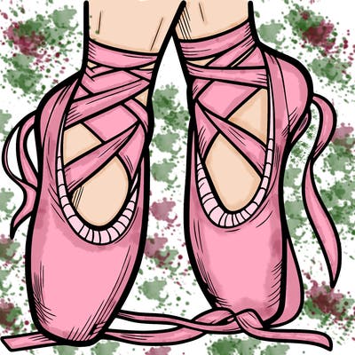 ballet shoes