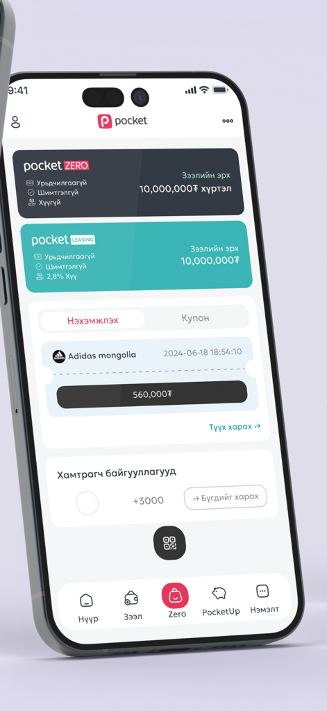 Pocket.mn mobile app screen displaying financial services and credit limits