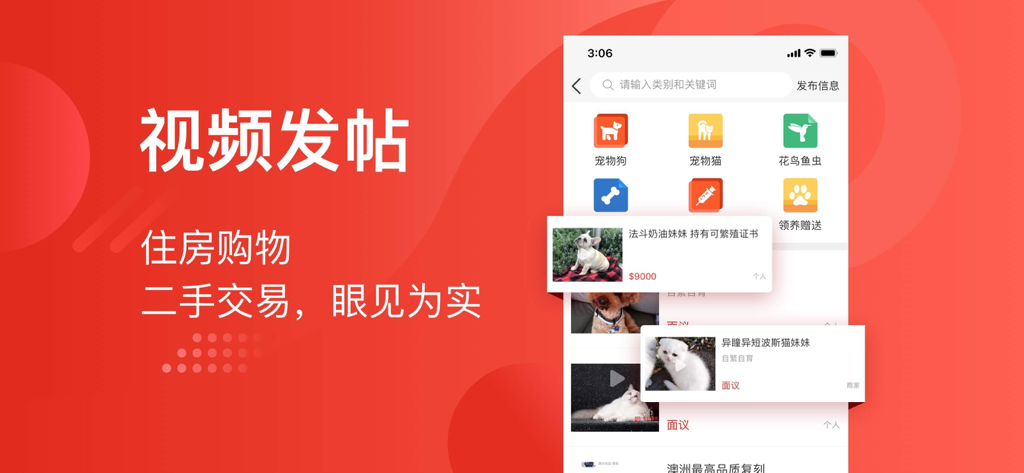 Today Australia app interface displaying pet listings and classified categories in Chinese