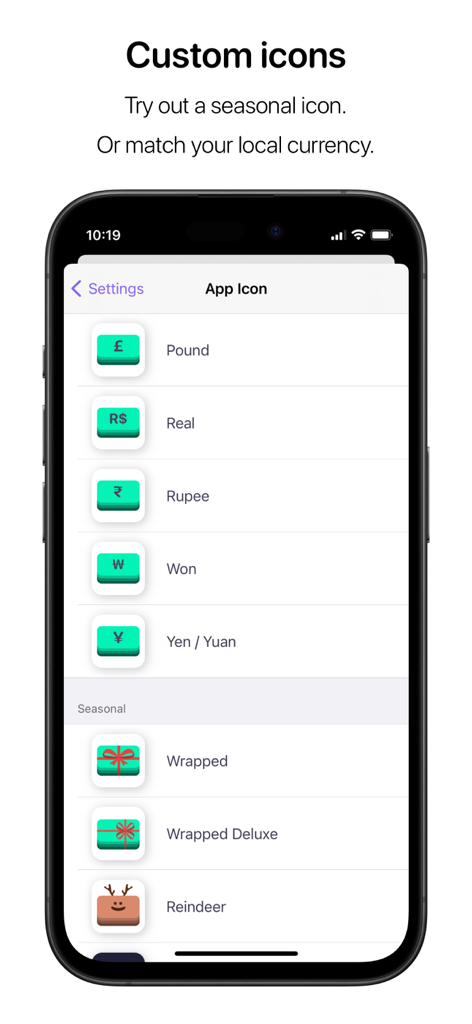 Interface for selecting custom seasonal and currency based app icons in Nudget