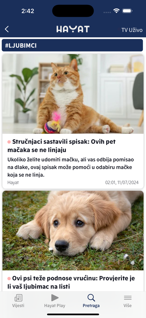 Hayat - Hayat app news feed showing articles about pets including a cat and a puppy.