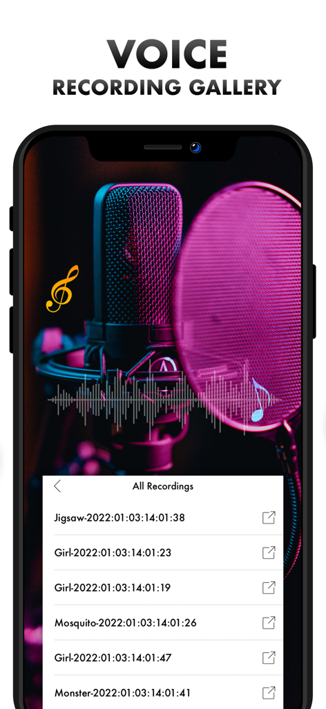 Voice Changer Women - Voice Recording Gallery interface in the Voice Changer Women app showing a list of saved prank audio recordings.