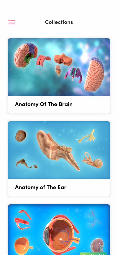 Bildschirm, der Sammlungen von 3D-Anatomiemodellen für Gehirn und Ohr in der Merge Object Viewer App anzeigt.