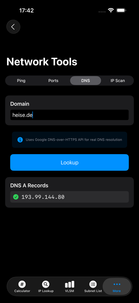 SubnetCalc Pro - SubnetCalc Pro 네트워크 엔지니어링 앱의 DNS 조회 화면