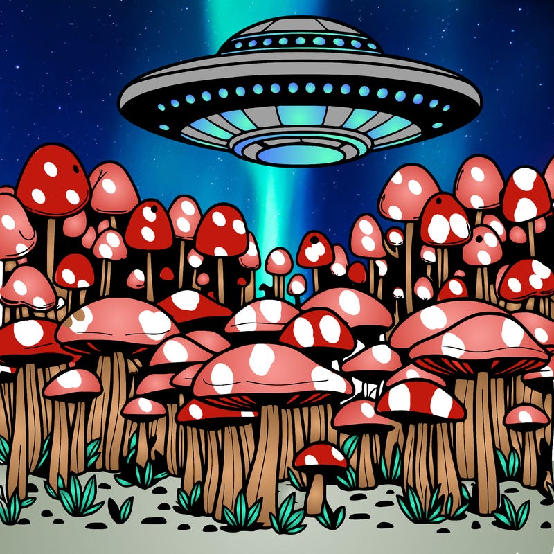 a realistic mushroom forest with a space ship above it