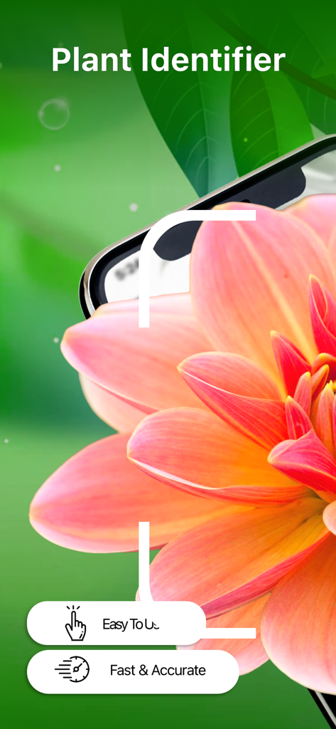A smartphone camera scanning a vibrant pink flower using the Plant Identifier app interface