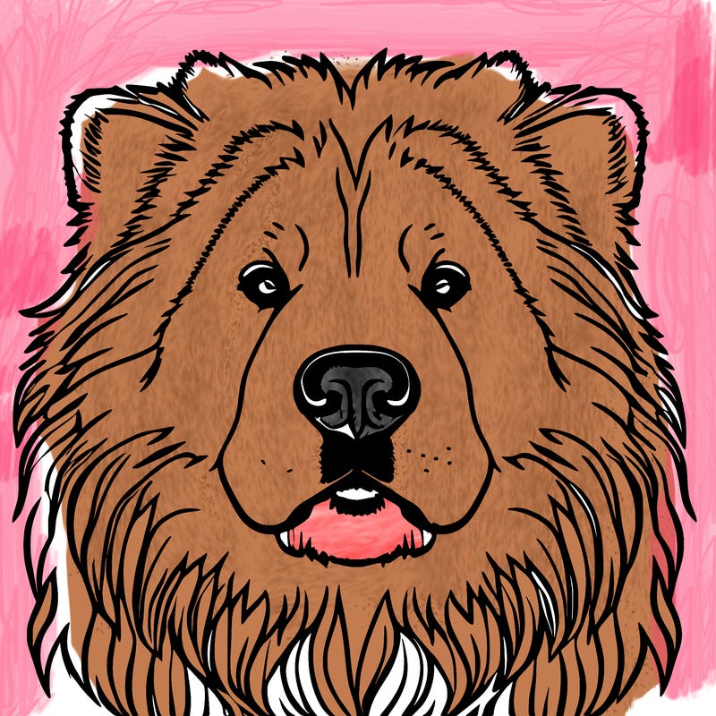 realistic chow chow