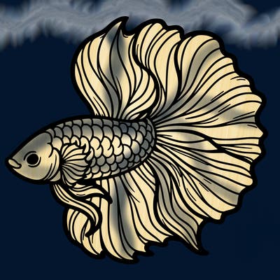 betta fish