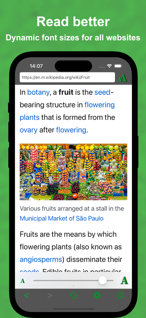 Smart Browser: Healthy Vision - Smart Browser app interface showing a website with a font size adjustment slider for better readability