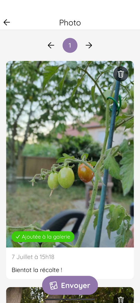 LiNote - Interface of the LiNote app showing a photo of tomatoes being shared with a senior family member