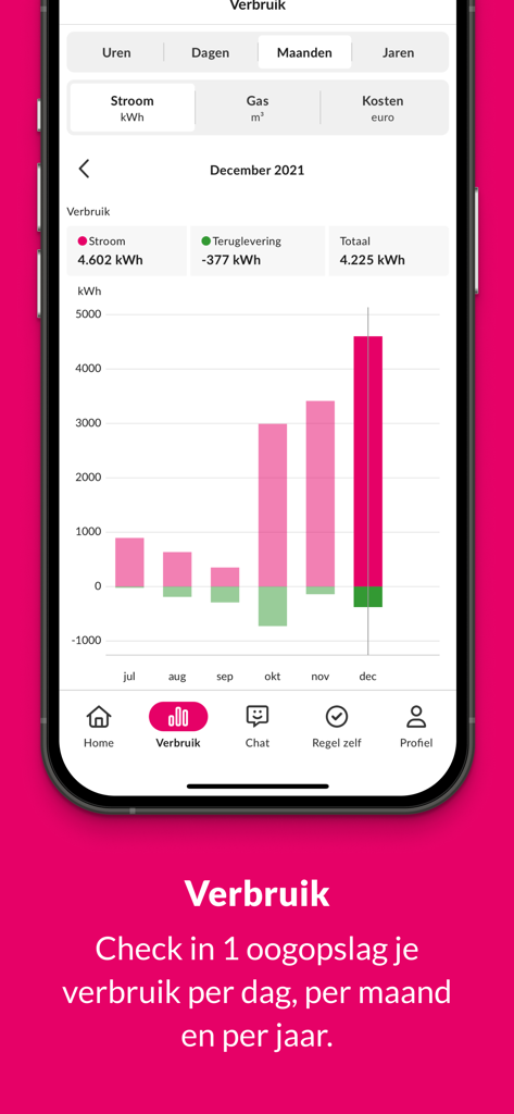Essent - Essent app interface displaying a monthly energy consumption bar chart