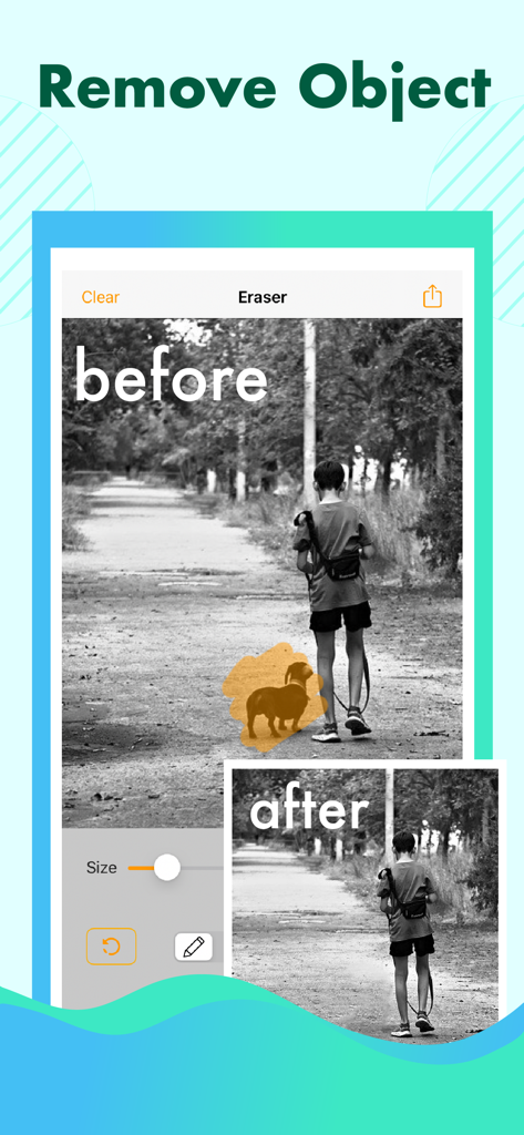 객체 제거 앱을 사용하여 사진에서 원치 않는 개를 제거하는 전후 비교.