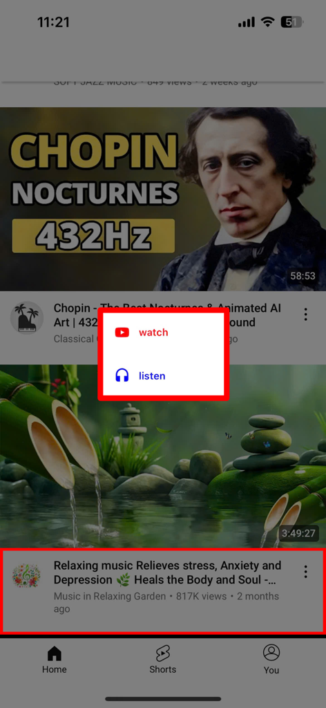 MusicTube - Listen to videos - 動画コンテンツの視聴または再生を選択するオプションが表示されるMusicTubeアプリのインターフェイス