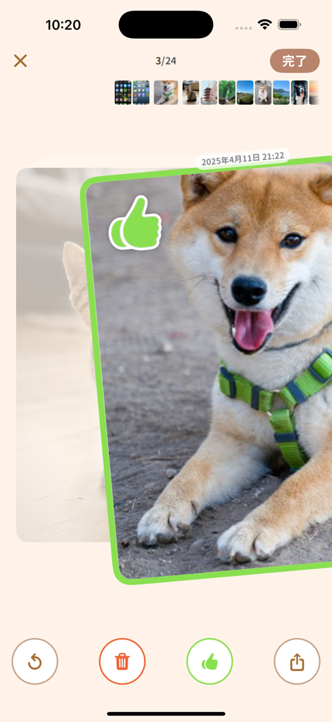 PhotoZap - Clean Camera Roll - Interface of PhotoZap app showing a user swiping right to keep a dog photo with a green thumbs up icon.