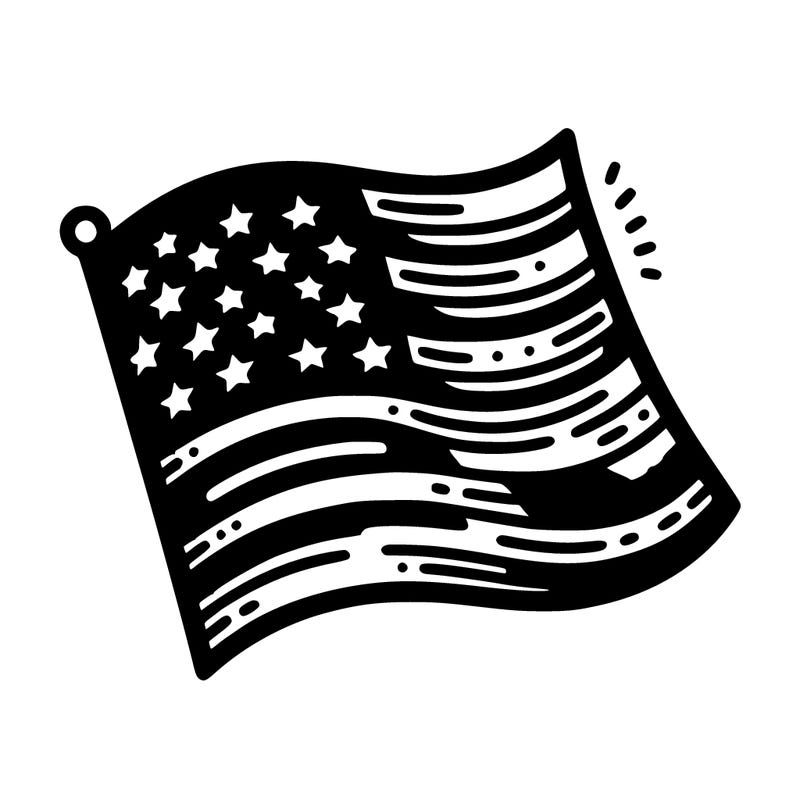 usa flag