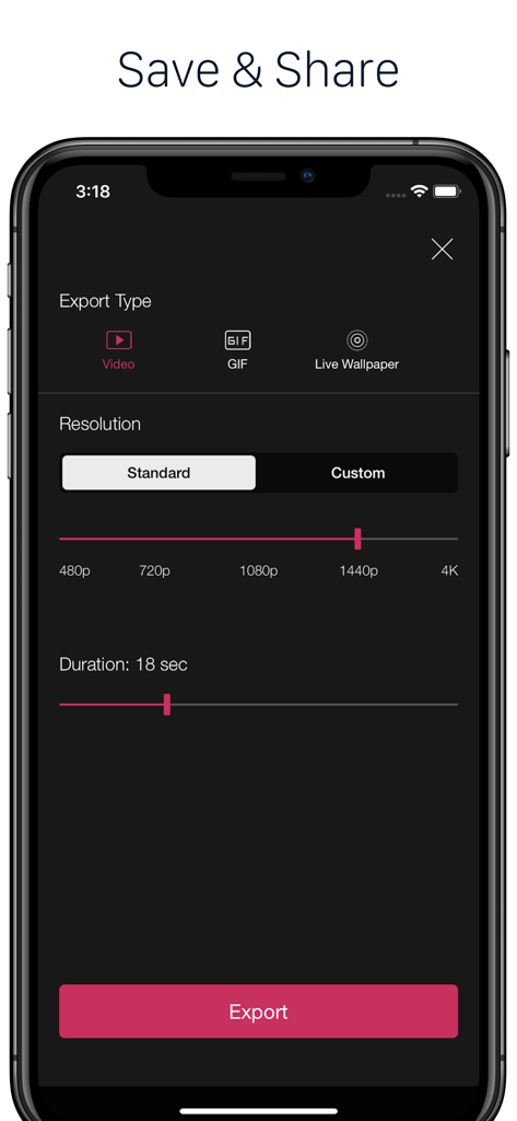 PixaMotion 3d Photo Video Loop - PixaMotion app export screen showing options for video GIF and live wallpaper with resolution and duration controls