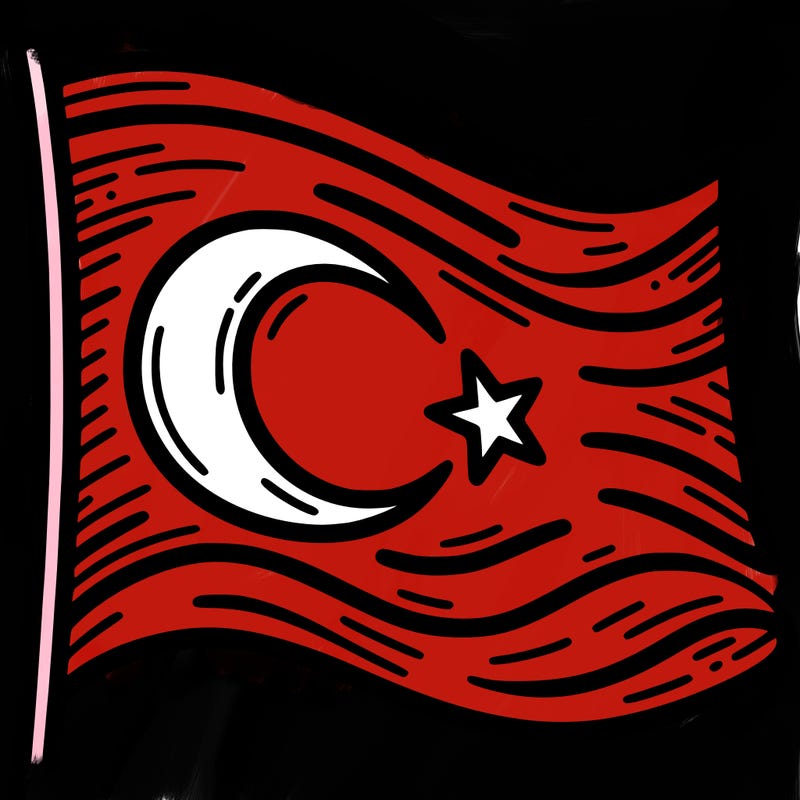 turkish bayraiği
