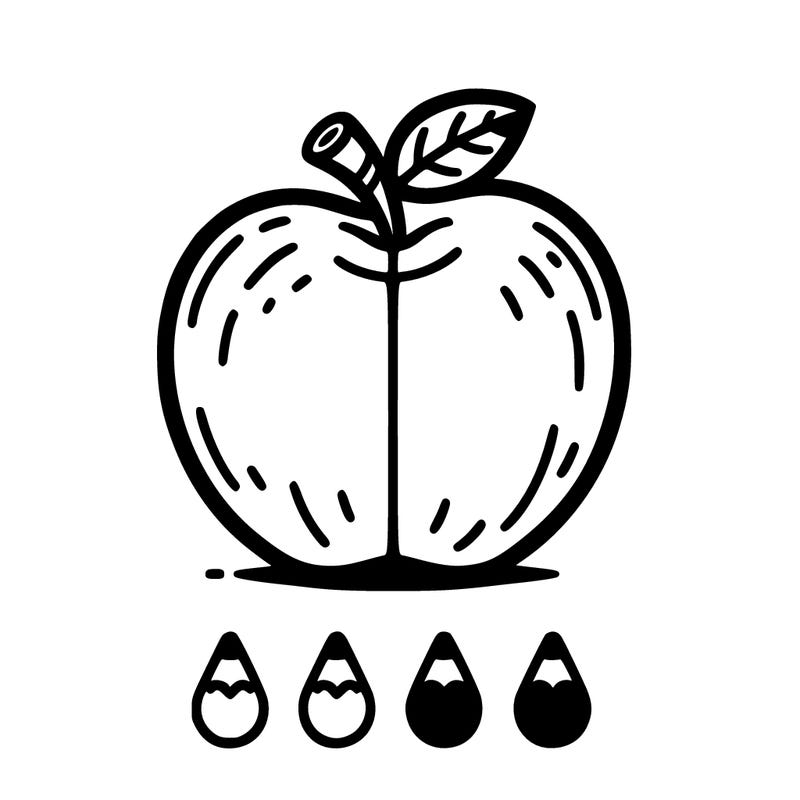 apple with 4 lines to separate the apple