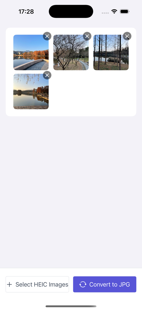 HEIC convert to JPG - Interface of the HEIC to JPG converter app showing selected images and a conversion button