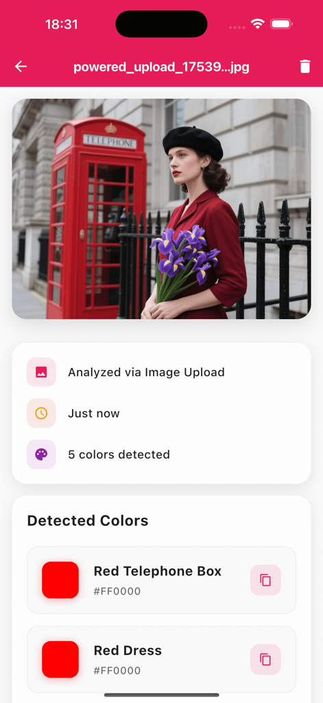Xeko 앱 인터페이스가 업로드된 사진에서 AI 색상 인식 및 HEX 코드를 보여줍니다
