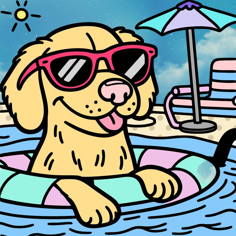 dog in pool with sunglasses on