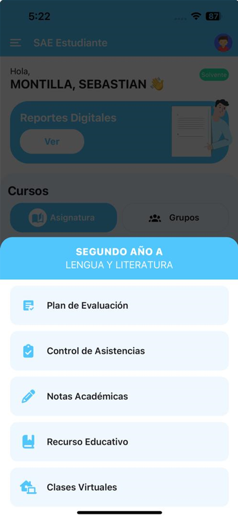 Interfaz de la aplicación SAE Estudiante mostrando el menú académico para un curso de lengua y literatura.