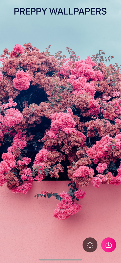 VIBE 4K Wallpapers Cool Screen - Preppy aesthetic wallpaper featuring pink bougainvillea flowers and a light blue sky