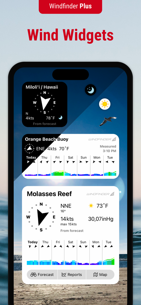 Windfinder Pro: Wind & Weather - Smartphone screen displaying various Windfinder Plus wind and weather widgets for different locations