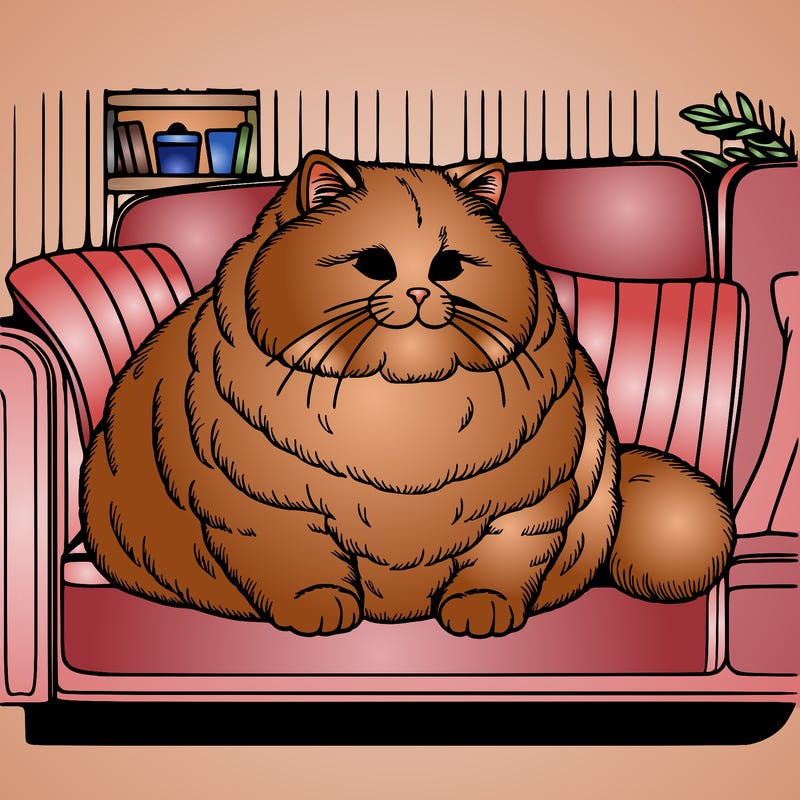 a realistic fat and fluffy adult cat on a sofa