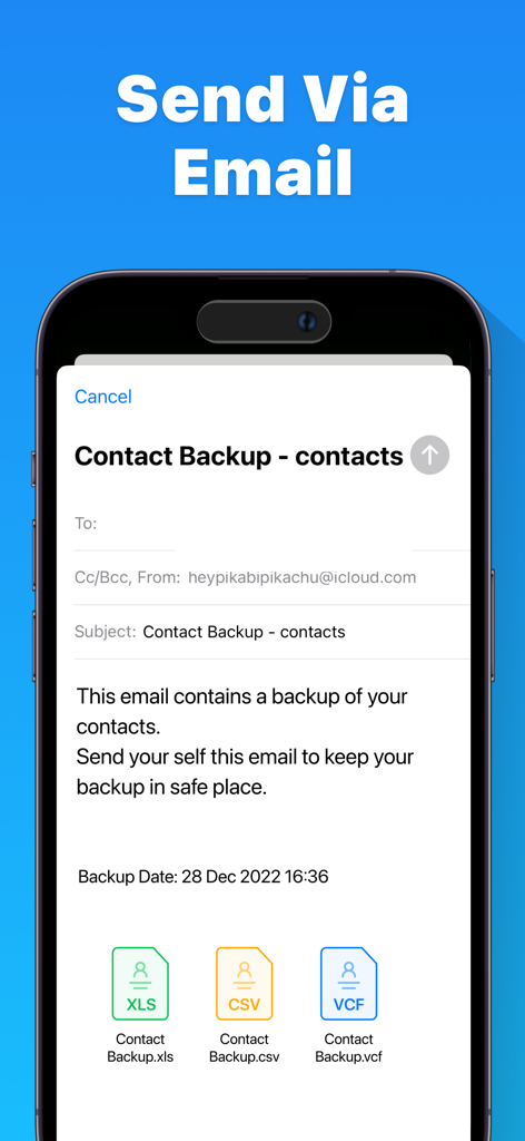 Interfaz que muestra archivos de copia de seguridad de contactos en formatos XLS, CSV y VCF listos para ser enviados por correo electrónico
