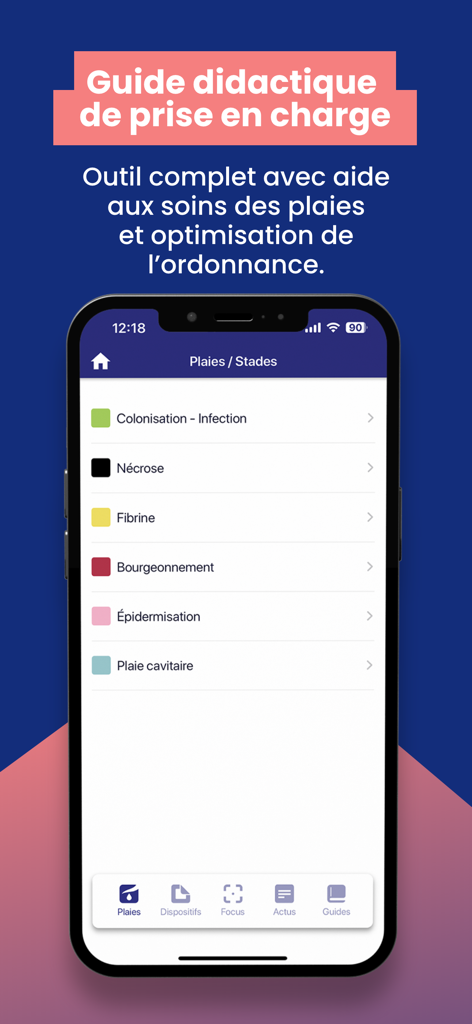 Interface de l'application e-Pansement affichant un guide clinique pour identifier les différents stades de cicatrisation.