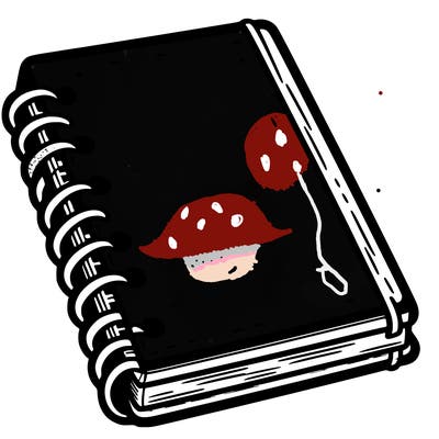 notebook