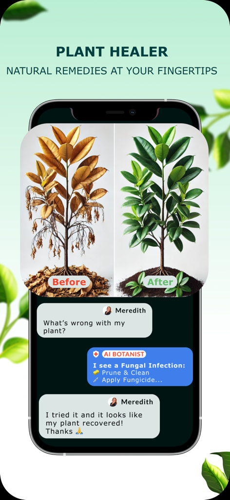 Una comparación de antes y después de una planta enferma recuperada a través de un diagnóstico y consejo de tratamiento de chat del Botánico de IA.